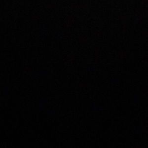 Meet your Posher, Quinn